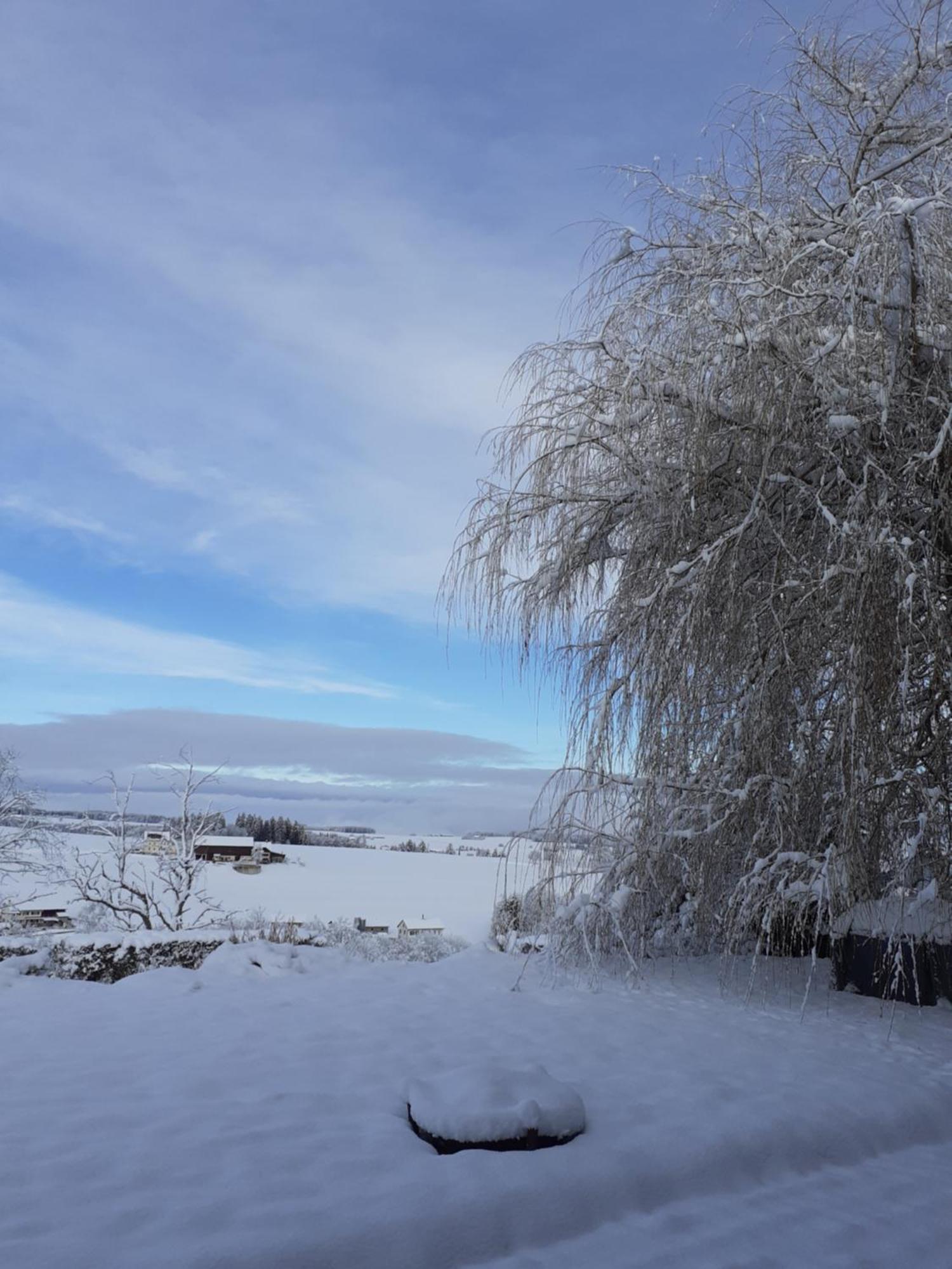 Bed and Breakfast Les Abeilles Romont Экстерьер фото
